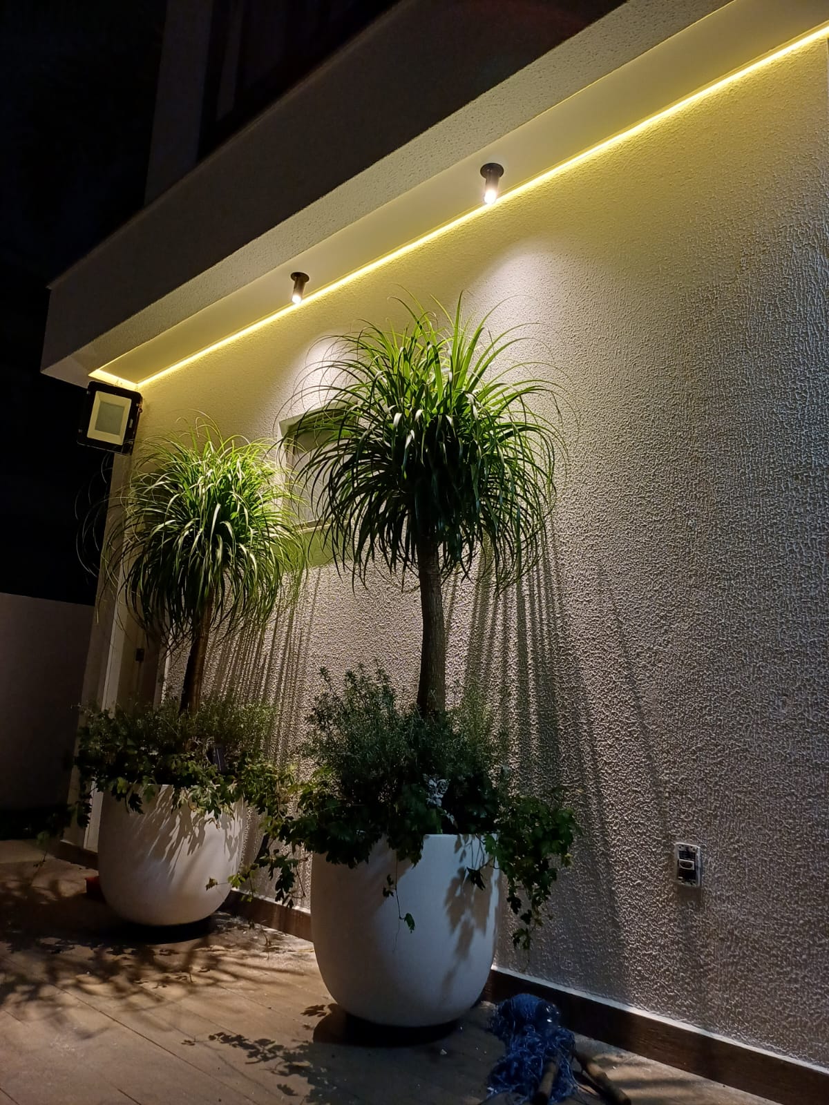 Iluminação para plantas